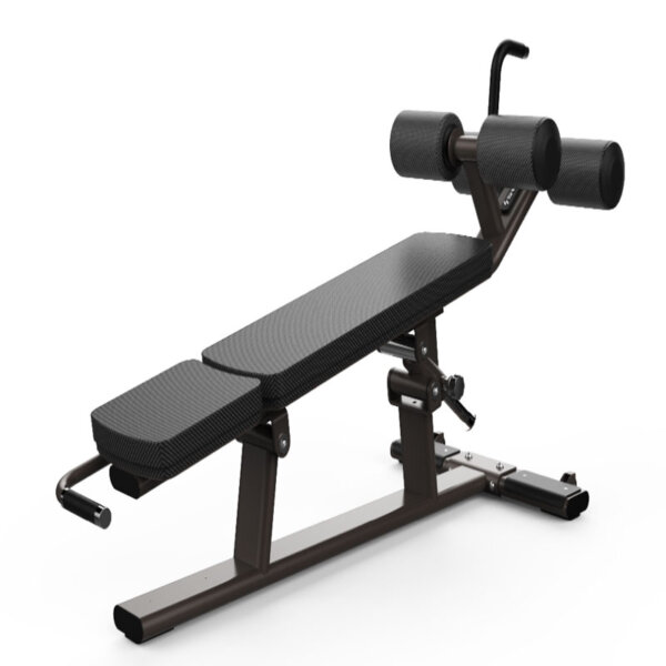 Banc Abdominal Réglable – SHUA SH-G8879 Banc Pro Abdos