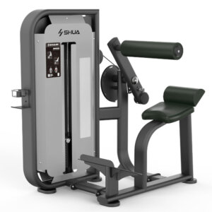 machine extension lombaire professionnelle