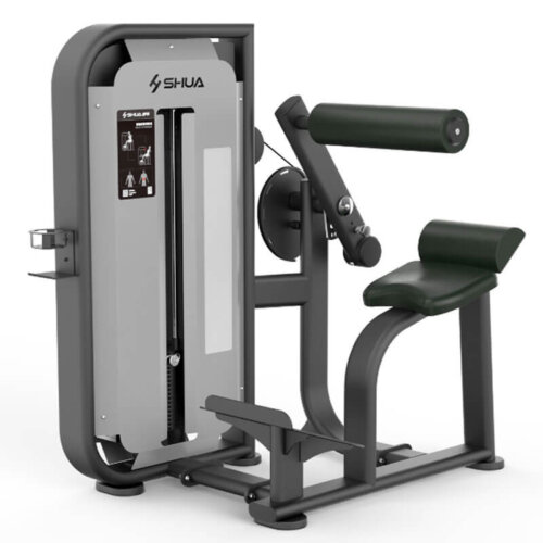 machine-musculation-professionnelle-extension-dos machine extension lombaire professionnelle