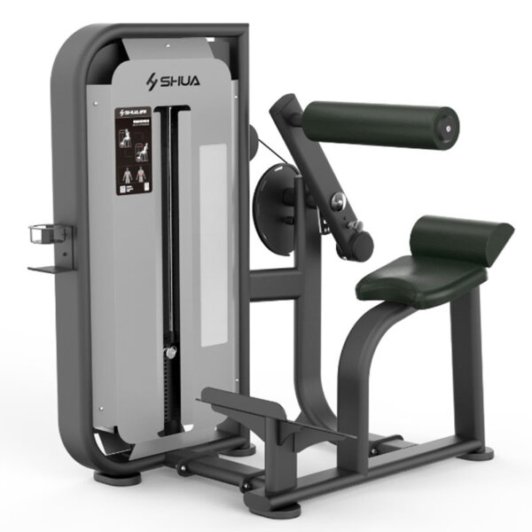 machine extension lombaire professionnelle