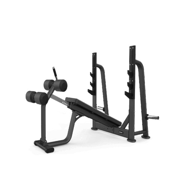 Banc décliné olympique SHUA SH-G6872 – banc professionnel pour pectoraux inférieurs avec barre