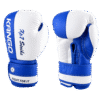 Gants de boxe en cuir bleu & blanc – KANGO