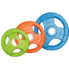 Disque coloré en caoutchouc LiveUp LS2123 – 10kg vert, 15kg orange, 20kg bleu