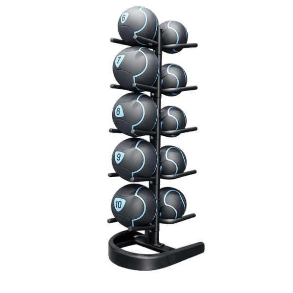 support-ballon-médicinal Support LivePro LP8806 pour 10 ballons médicinaux – rack vertical noir en acier pour salle de sport ou centre de rééducation