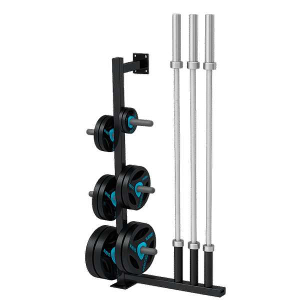 Support mural LIVEPRO LP8894 pour barres et disques olympiques – rangement vertical en acier
