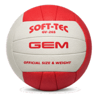 volley-ball-gv-265 Ballon de Beach-Volley GV-265 – Performance et Durabilité