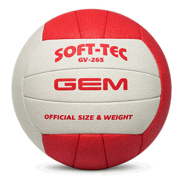 Ballon de Beach-Volley GV-265 – Performance et Durabilité