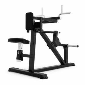 Machine écarté épaules arrière assis A618 professionnelle noir