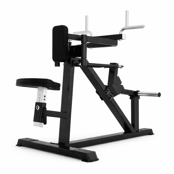 Machine écarté épaules arrière assis A618 professionnelle noir