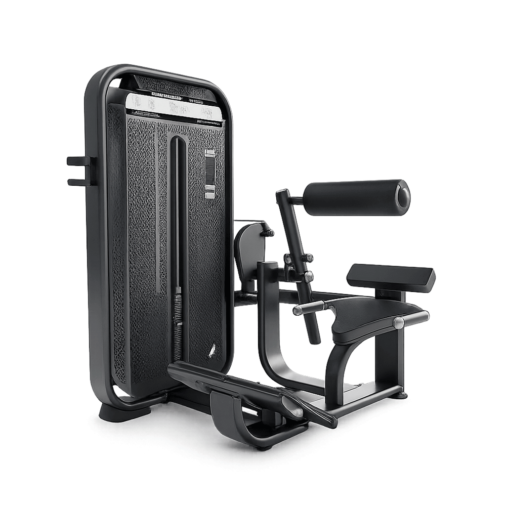 DHZ E7031 Weight Machine
