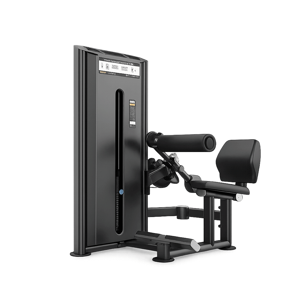 DHZ U2073 Weight Machine